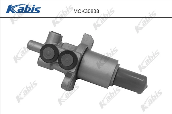 MCK30838