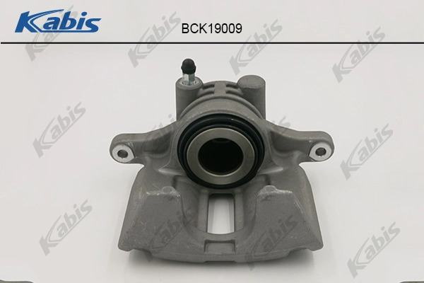 BCK19009