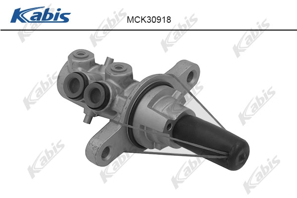 MCK30918