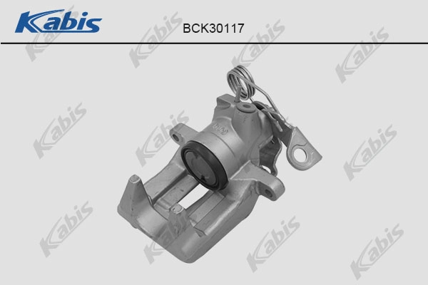 BCK30117