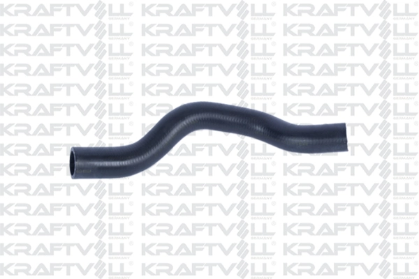 10032863