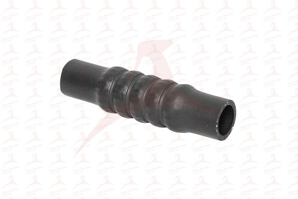 MH55981