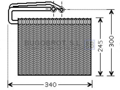 70-OLV399