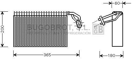 70-MSV317