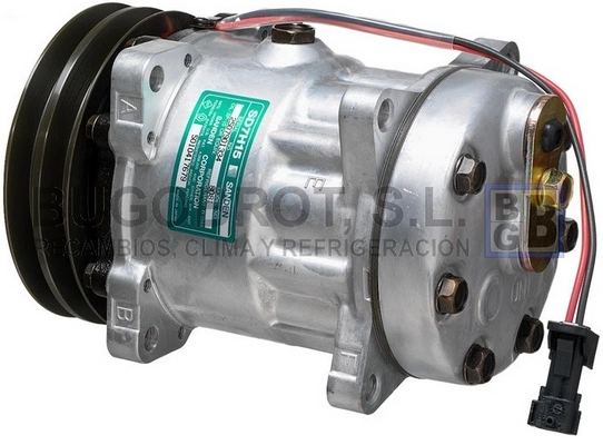 51-8081