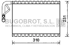 70-MSV544