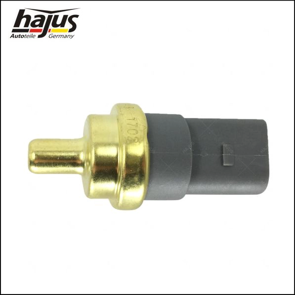 06A 919 501 B S1