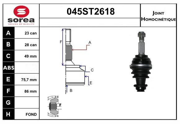 391019117R