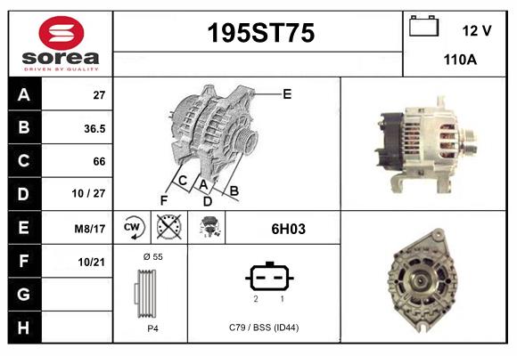 195ST75