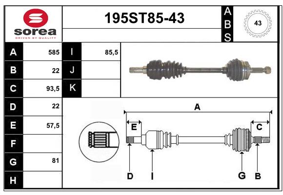 195ST85-43