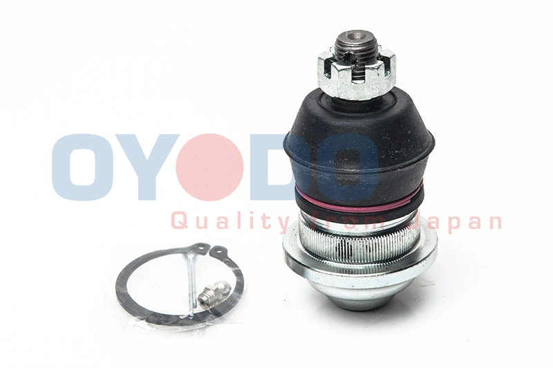 20Z5007-OYO