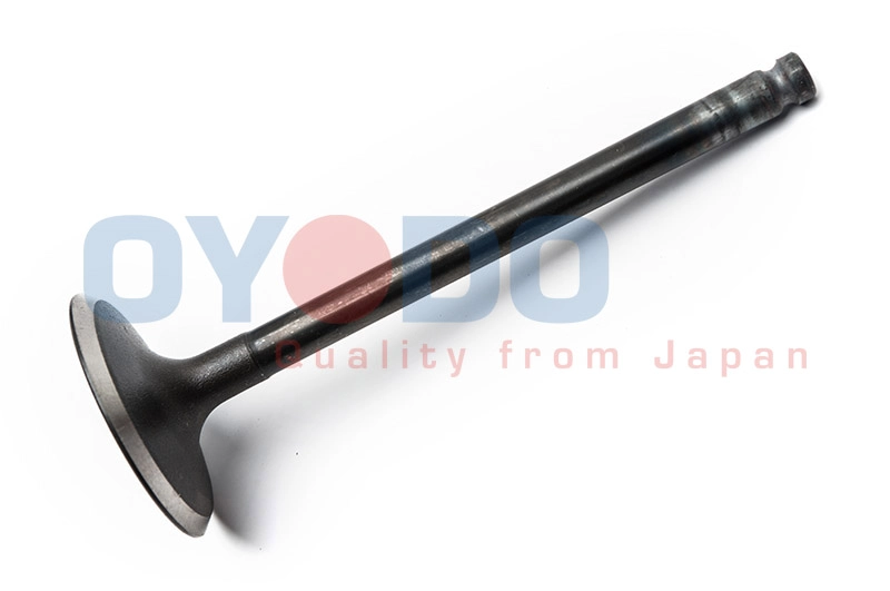 70M0311-OYO
