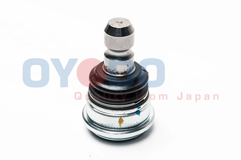 10Z0323-OYO