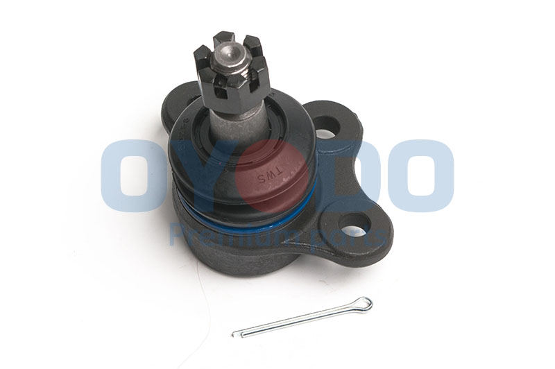 98005826