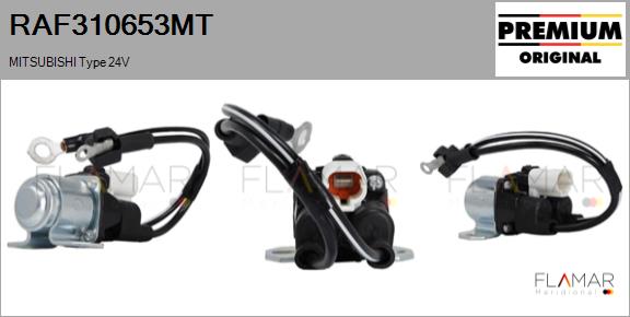 RAF310653MT