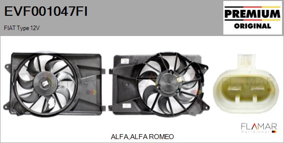 EVF