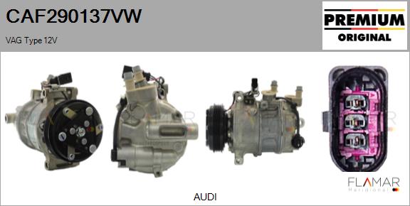 CAF290137VW