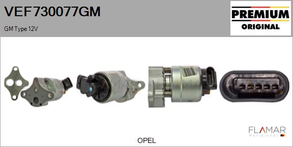 VEF730077GM