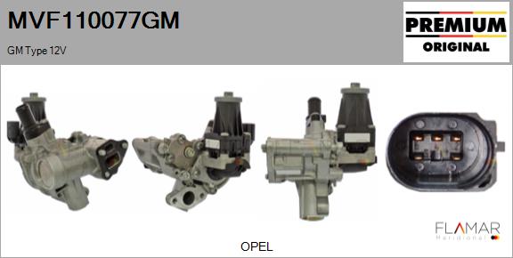 MVF110077GM