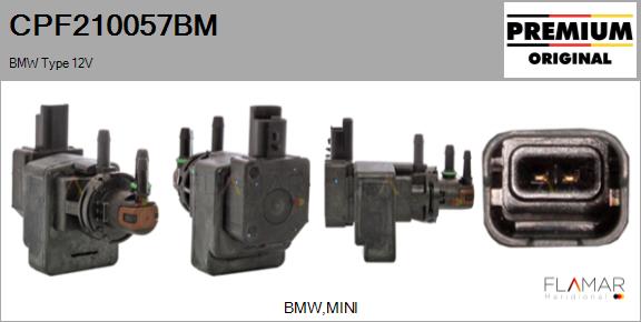 CPF210057BM