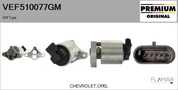 VEF510077GM