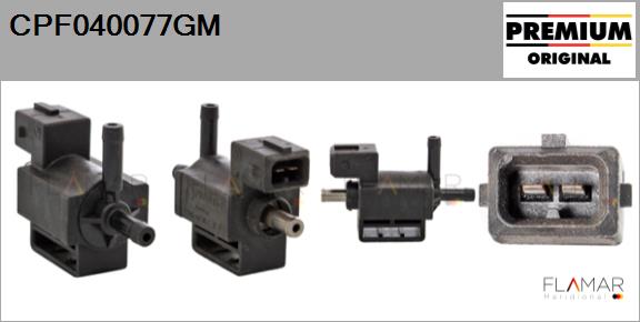 CPF040077GM
