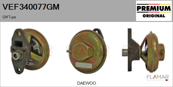 VEF340077GM
