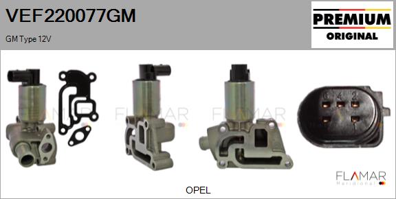 VEF220077GM