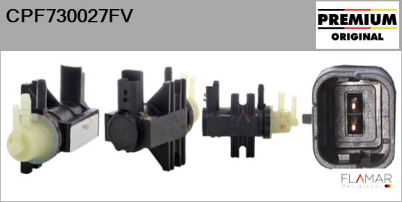CPF730027FV