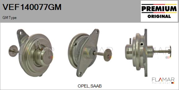 VEF140077GM