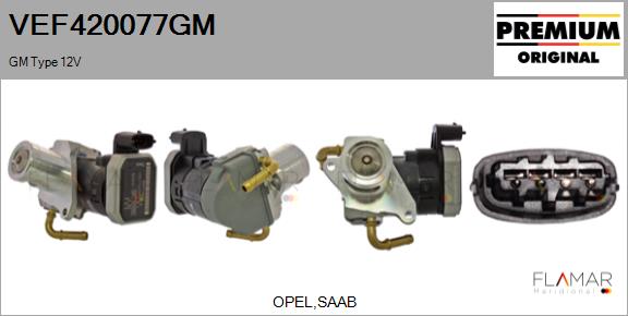 VEF420077GM
