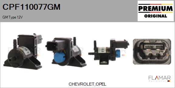 CPF110077GM