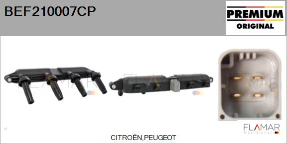 BEF210007CP