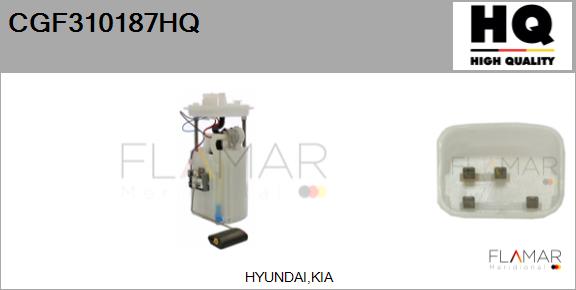 CGF310187HQ