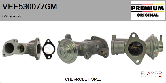 VEF530077GM