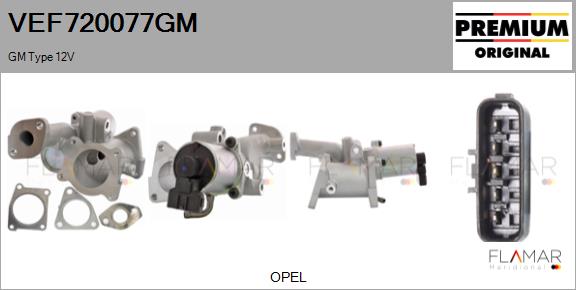 VEF720077GM