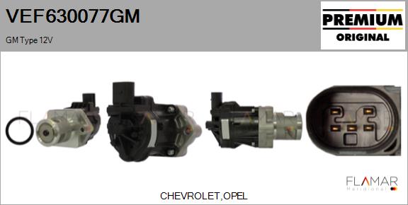 VEF630077GM