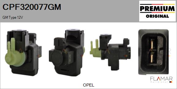 CPF320077GM