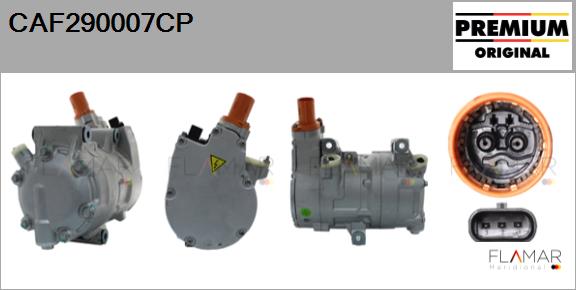 CAF290007CP