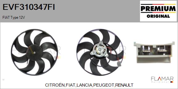 EVF310347FI