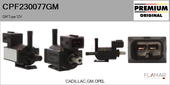 CPF230077GM