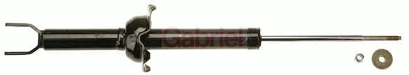 G55786
