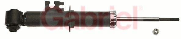 G51137