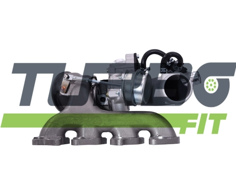 TF10032