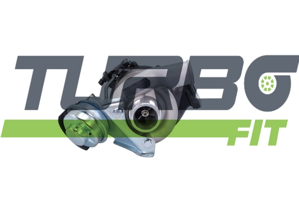 TF10006