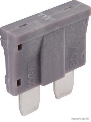 5029585