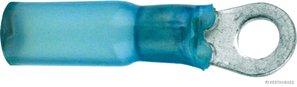 50252606