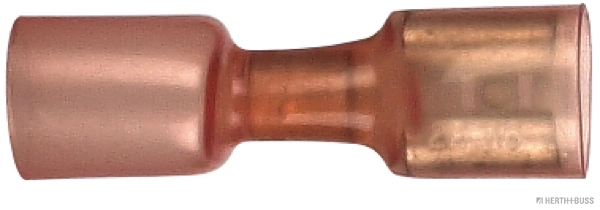 50252622