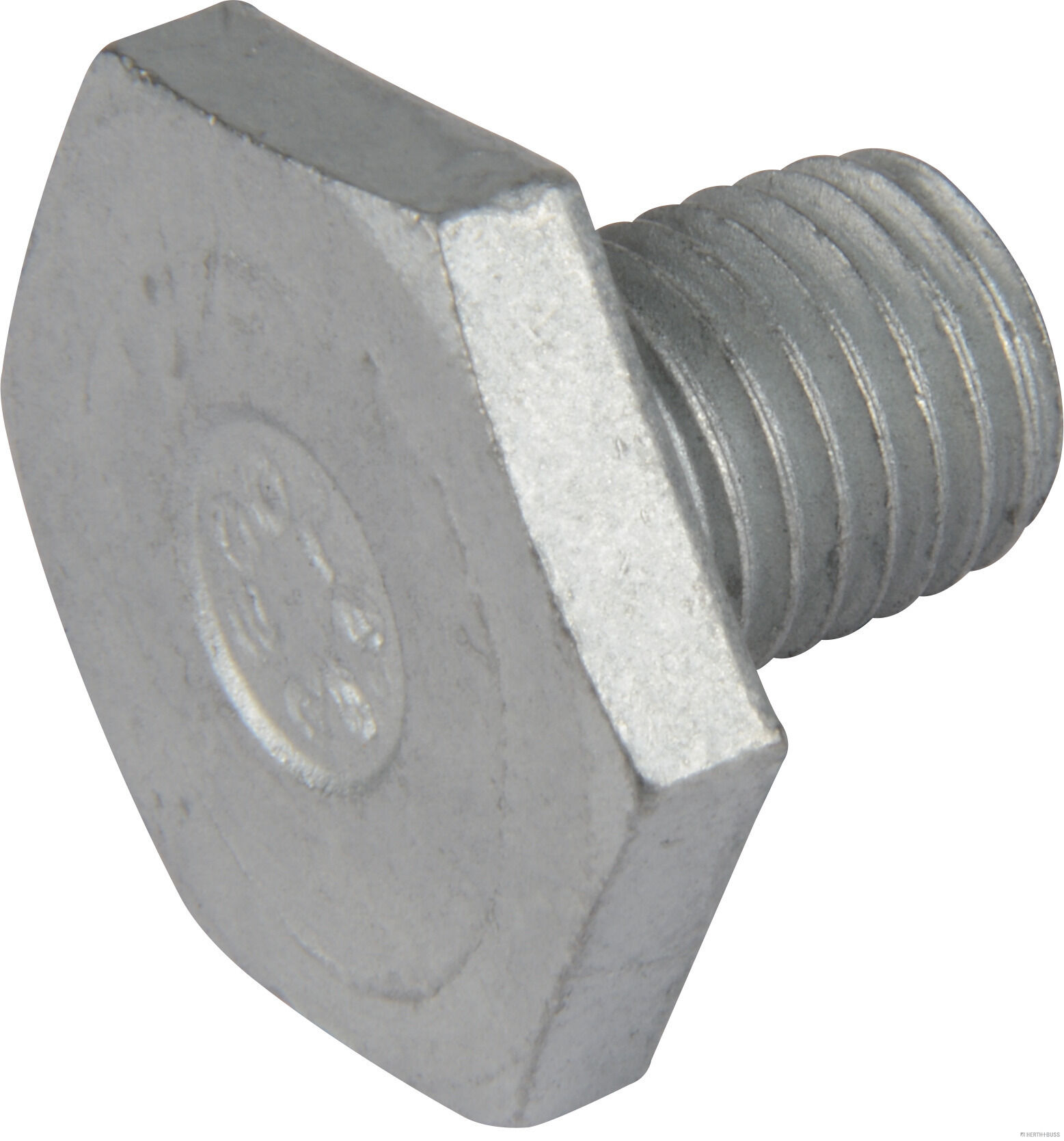 50240019