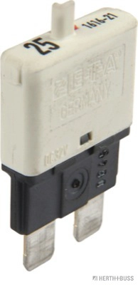 500309817